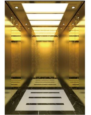 Titanium Gold Mirror Etching Lift Penumpang